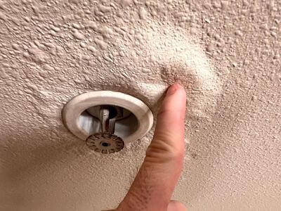 About BlueReef Co - water damage restoration experts in Ontario